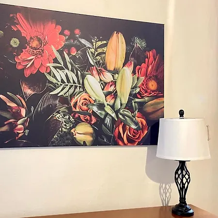 Ghibellina Lopez Apartment Florence